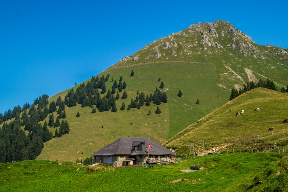 Randonnées En Raquettes - Les Paccots (Suisse) La Buvette Du Vuipay À Les Paccots Avec Le Teysachaux La buvette du vuipay à les paccots avec le teysachaux